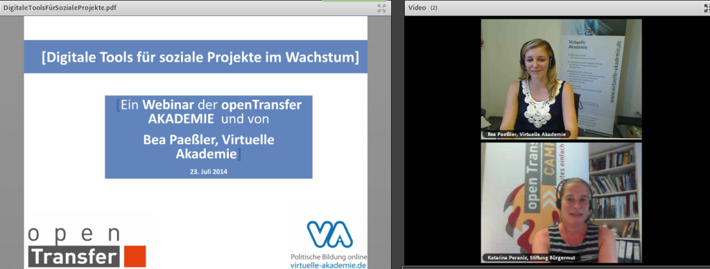 Screenshot vom Webinar "Digitale Tools für soziale Projekte im Wachstum" mit Bea Paeßler