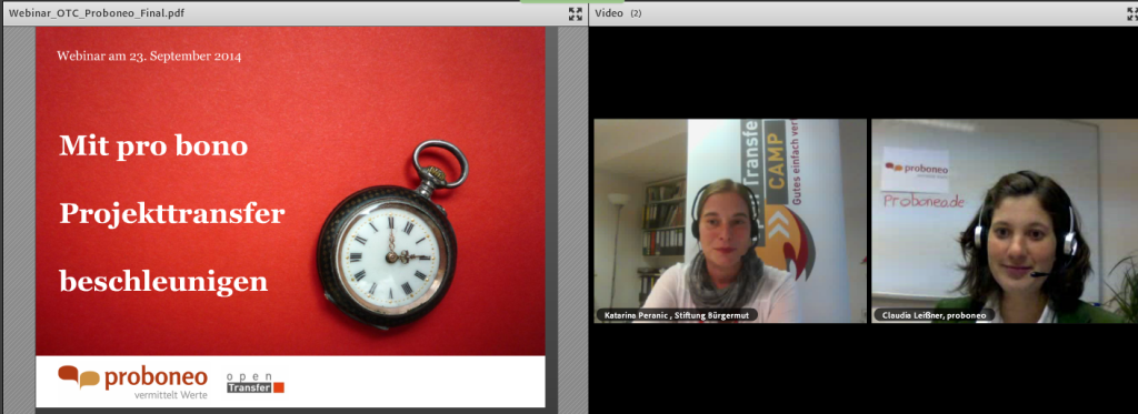 Screenshot vom Webinar "Mit pro bono Projekttransfer beschleunigen" mit Claudia